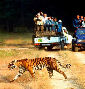 Jim Corbett